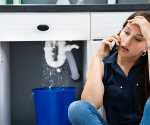 About Emergency plumbing pros Merrillan, WI